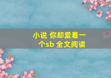 小说 你却爱着一个sb 全文阅读